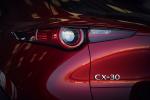 Mazda CX-30 2019 года (WW)